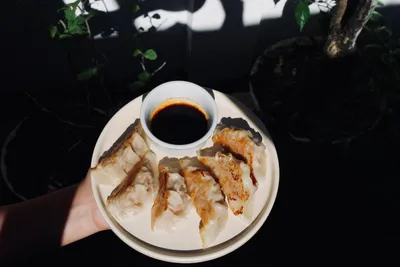Japanese pork dumplings